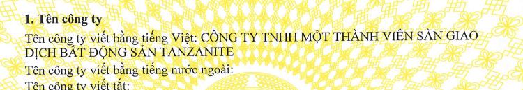 CÔNG TY TNHH MỘT THÀNH VIÊN SÀN GIAO DỊCH BẤT ĐỘNG SẢN TANZANITE